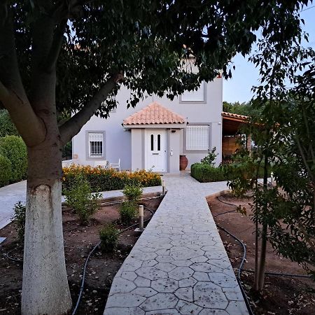 Studio Katafigi Anavyssos Buitenkant foto