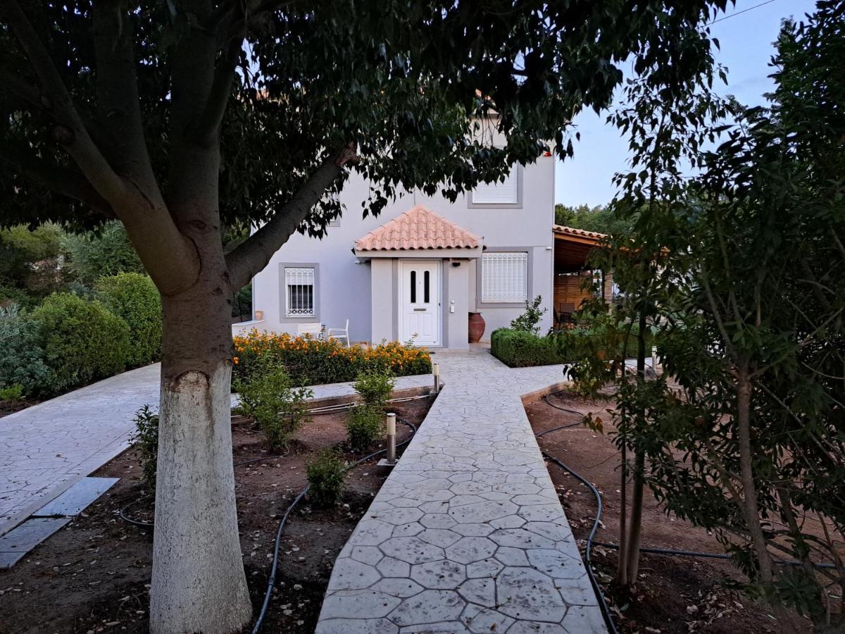 Studio Katafigi Anavyssos Buitenkant foto
